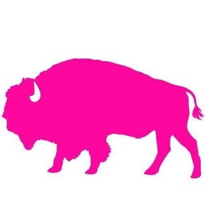 Fundraising Page: Maggie Shea